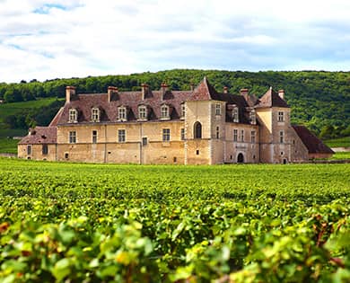 domaine vignoble aux environs de Bordeaux